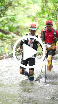 BIB:  <button type="button" onclick="openModal(26819798)" class="btn btn-primary btn-sm float-right" data-toggle="modal" data-target=".modal-high-quality">
                <i class="fa fa-download"></i> Download
                </button>